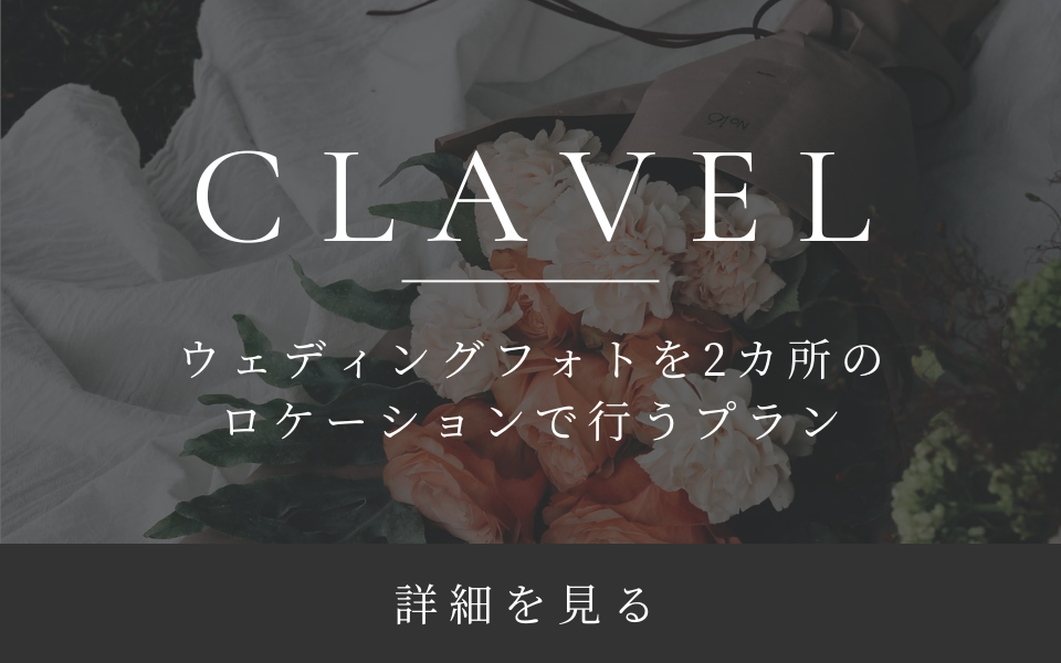 clavelプラン