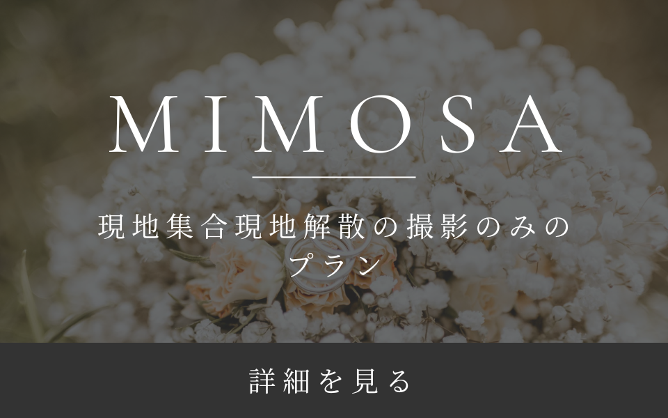 mimosaプラン