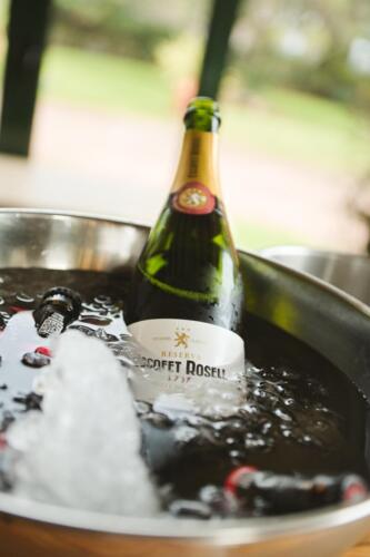 20250224 LA-BODA-516