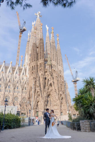 20260811LABODA-16